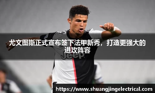 bsports官网